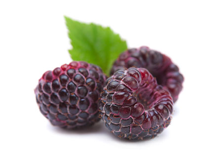 Rubus-Glen-Coe-2