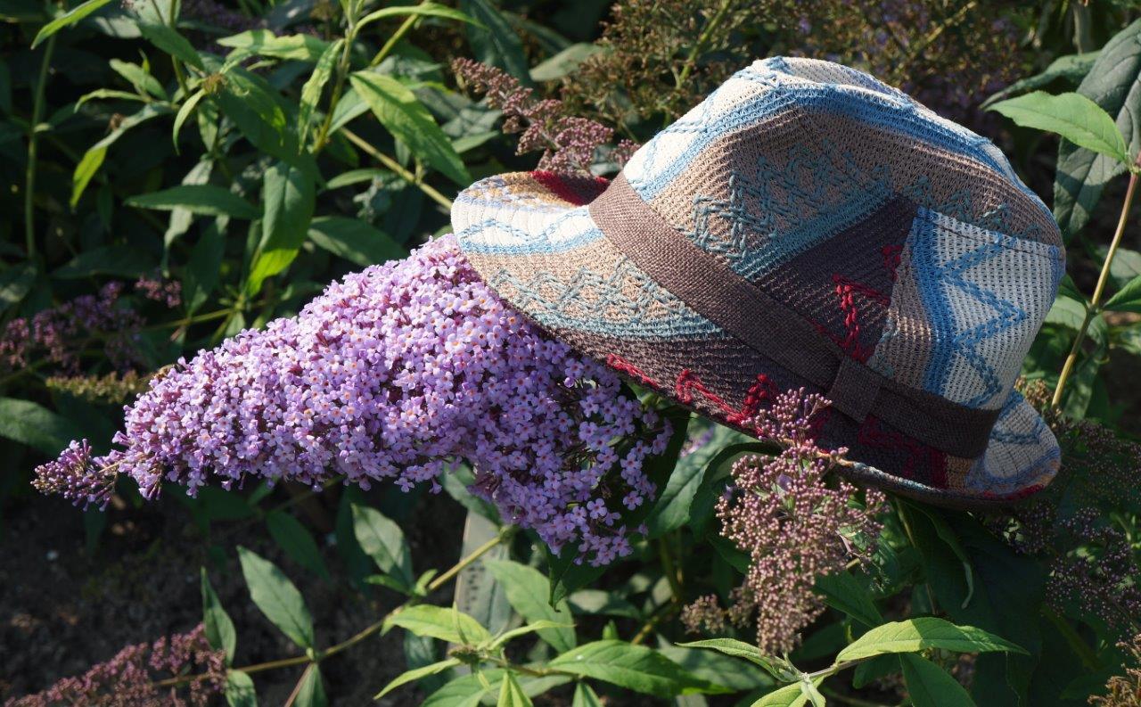 Buddleja-davidii-Gulliver-7