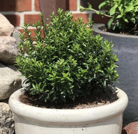 6575b41c-cdef-43aa-9d4f-01f5e645953f