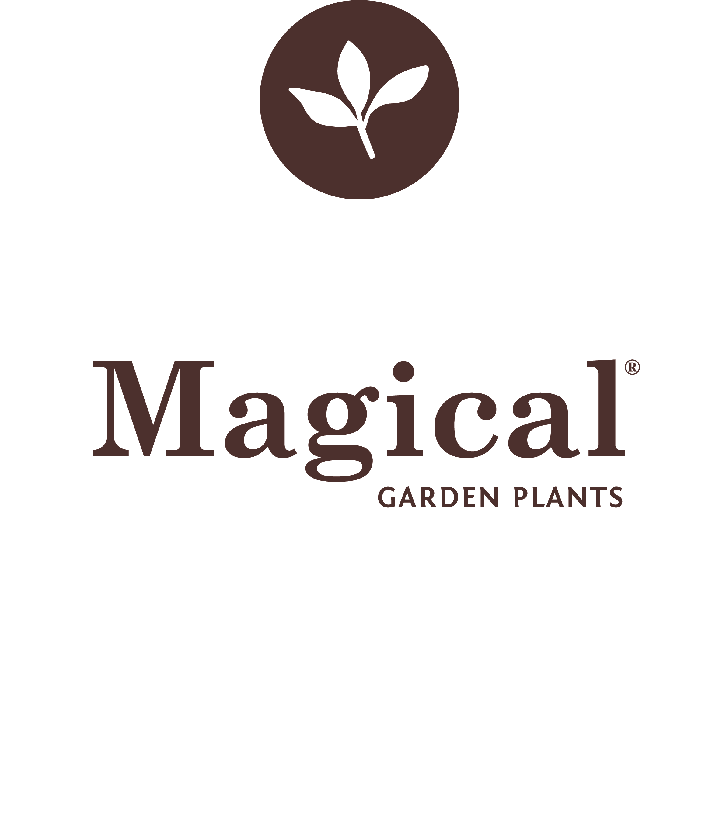 Magical-Garden-Plantsx3AtSlKYfuJ0q