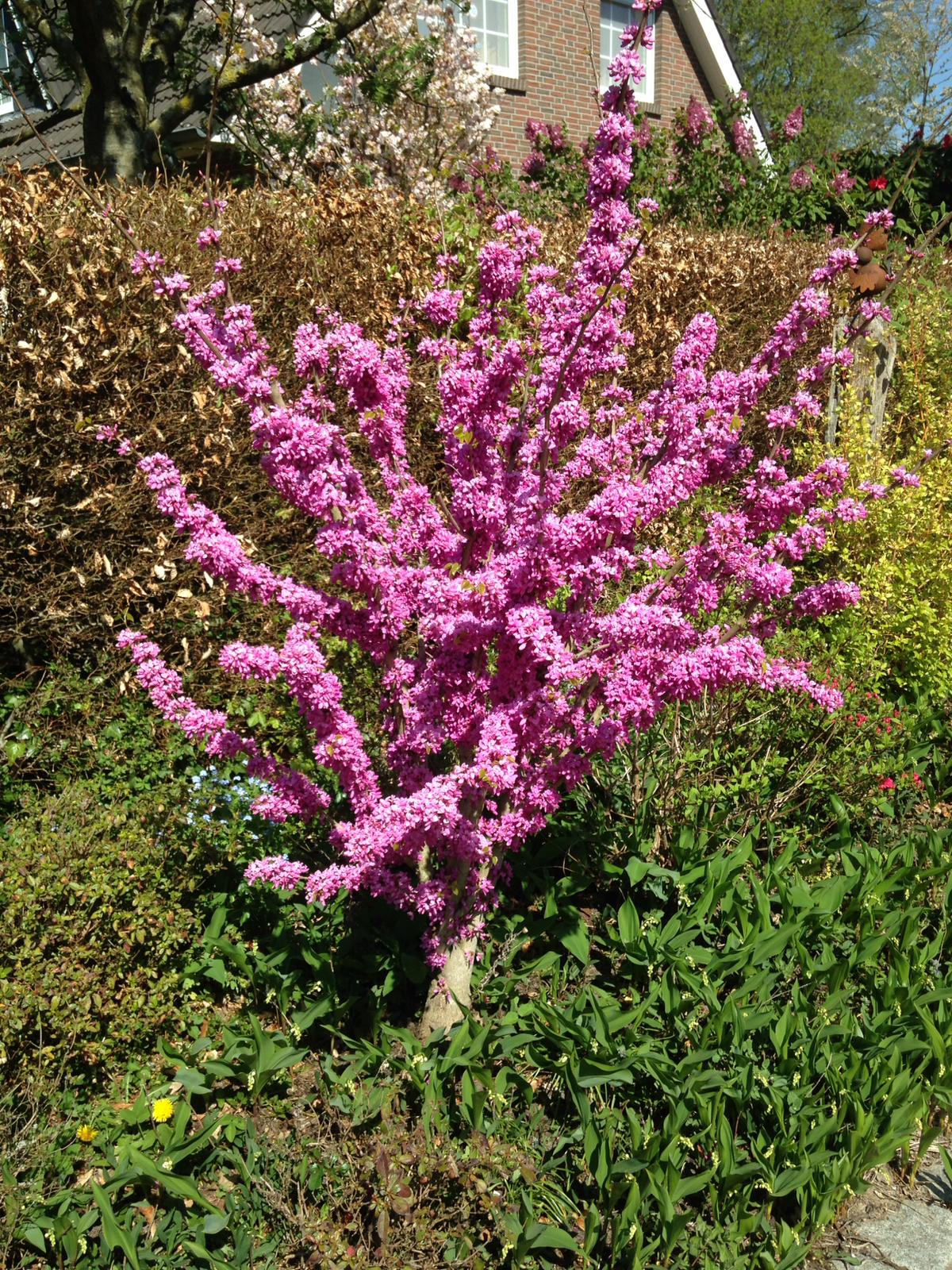 0ae8ab7f-5eaa-4ebc-a0c7-197c378f115d