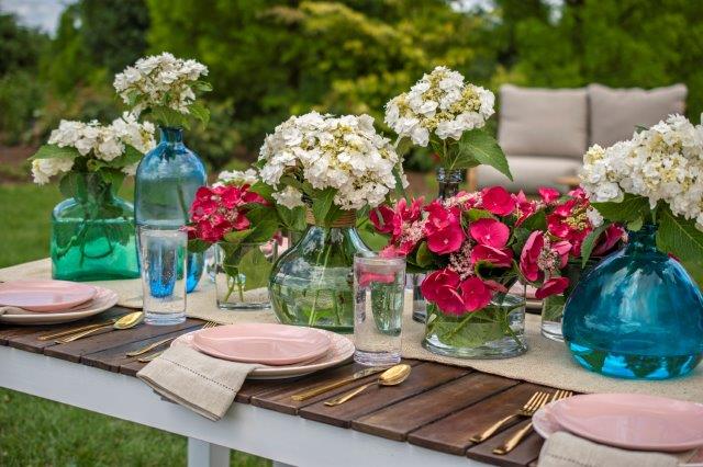 20190614_Hydrangea_Shoot_118