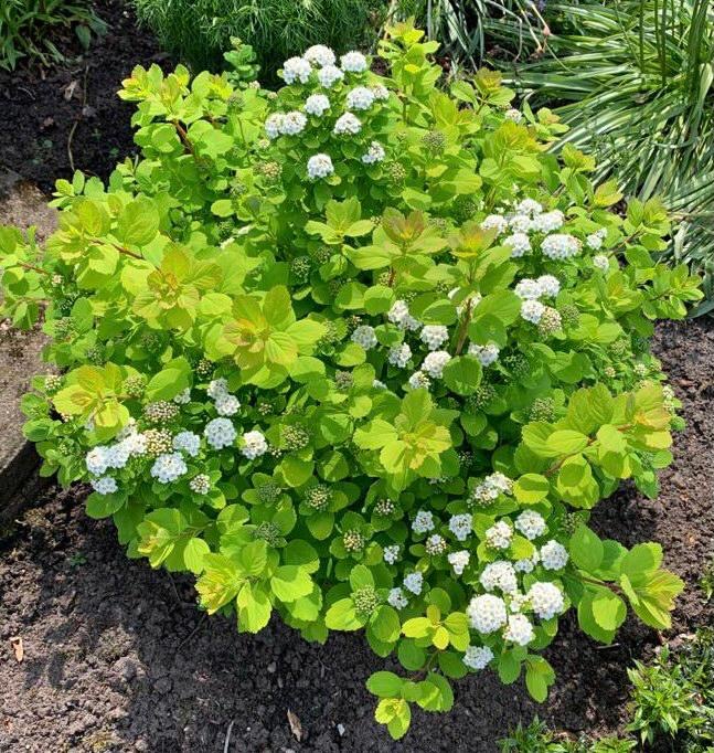 452c7465-a2fa-4eaf-9683-46d50b3d7aef