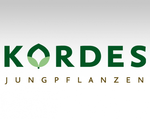 kordes-jungpflanzen-logo-bg